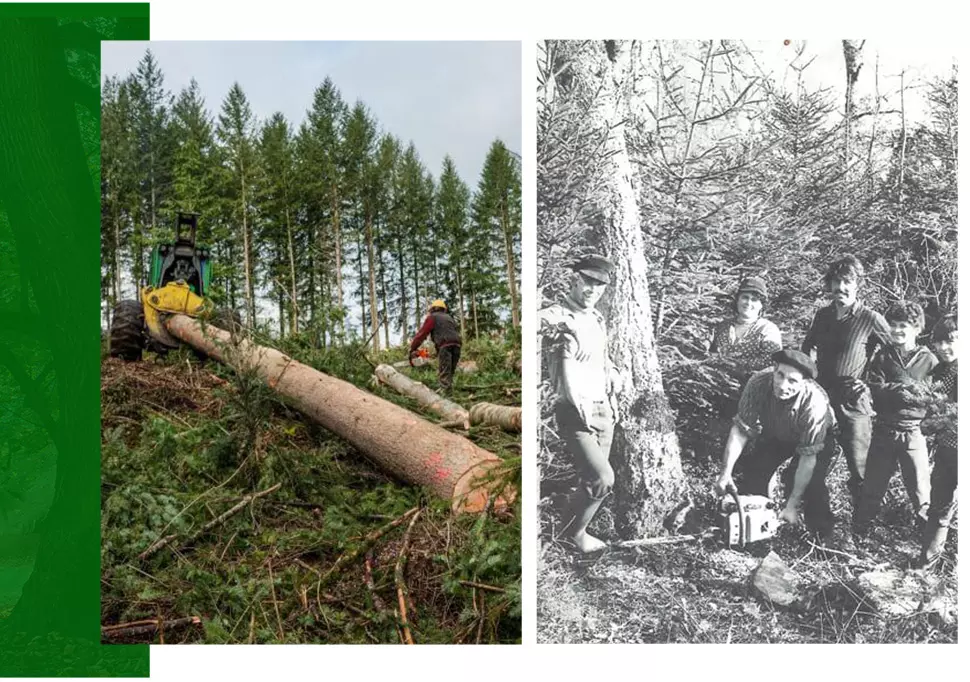 Exploitant forestier Ussel, Exploitant forestier Corrèze (19), Exploitant forestier Limousin, Exploitant forestier Saint-Angel