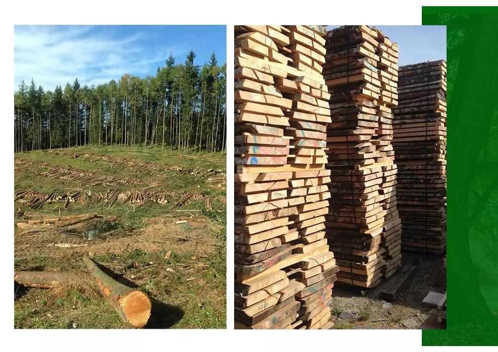 Vente de bois Ussel, Vente de bois Corrèze (19), Vente de bois Limousin, Vente de bois Saint-Angel